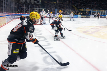 Löwen Frankfurt - Fischtown Pinguins- 24.10.25 - 073