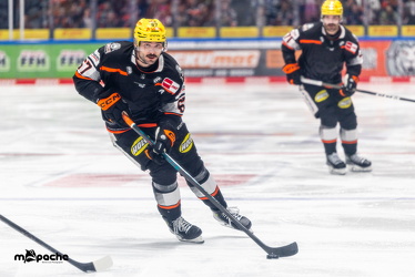 Löwen Frankfurt - Fischtown Pinguins- 24.10.25 - 074