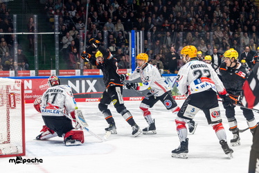 Löwen Frankfurt - Fischtown Pinguins- 24.10.25 - 075