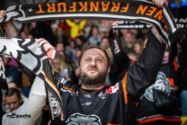 Löwen Frankfurt - Fischtown Pinguins- 24.10.25 - 081