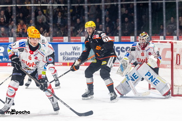 Löwen Frankfurt - Fischtown Pinguins- 24.10.25 - 082