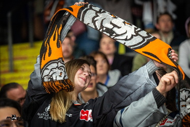 Löwen Frankfurt - Fischtown Pinguins- 24.10.25 - 098