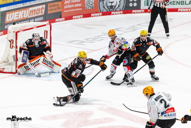 Löwen Frankfurt - Fischtown Pinguins- 24.10.25 - 104