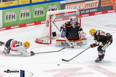 Löwen Frankfurt - Fischtown Pinguins- 24.10.25 - 106