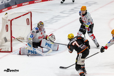 Löwen Frankfurt - Fischtown Pinguins- 24.10.25 - 109