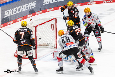 Löwen Frankfurt - Fischtown Pinguins- 24.10.25 - 112