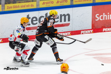 Löwen Frankfurt - Fischtown Pinguins- 24.10.25 - 117