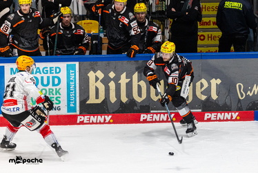 Löwen Frankfurt - Fischtown Pinguins- 24.10.25 - 119