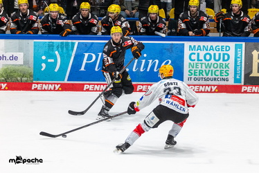 Löwen Frankfurt - Fischtown Pinguins- 24.10.25 - 120