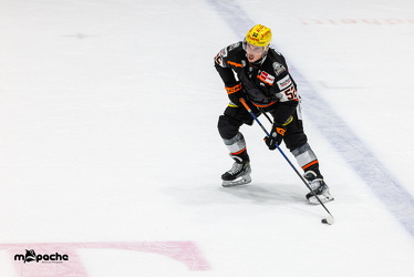 Löwen Frankfurt - Fischtown Pinguins- 24.10.25 - 128