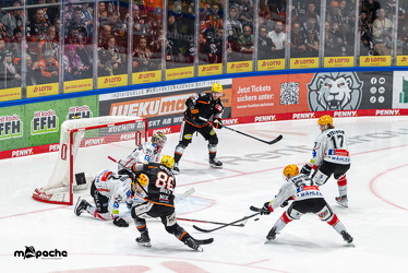 Löwen Frankfurt - Fischtown Pinguins- 24.10.25 - 137