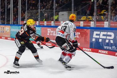 Löwen Frankfurt - Fischtown Pinguins- 24.10.25 - 147