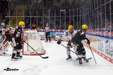 Löwen Frankfurt - Fischtown Pinguins- 24.10.25 - 148