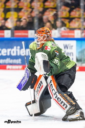 Löwen Frankfurt - ERC Ingolstadt - 2.11.25 - 003