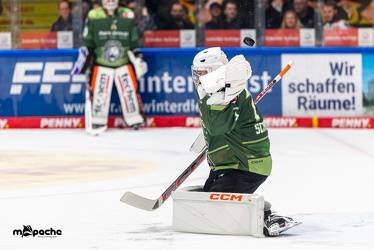 Löwen Frankfurt - ERC Ingolstadt - 2.11.25 - 007