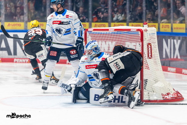 Löwen Frankfurt - ERC Ingolstadt - 2.11.25 - 024