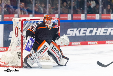 Löwen Frankfurt - ERC Ingolstadt - 2.11.25 - 025