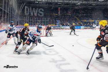 Löwen Frankfurt - ERC Ingolstadt - 2.11.25 - 027