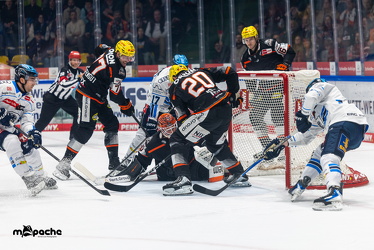 Löwen Frankfurt - ERC Ingolstadt - 2.11.25 - 032