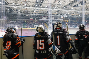 Löwen Frankfurt - ERC Ingolstadt - 2.11.25 - 036