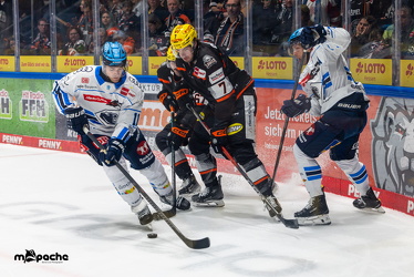 Löwen Frankfurt - ERC Ingolstadt - 2.11.25 - 038