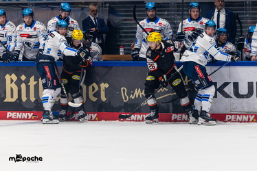 Löwen Frankfurt - ERC Ingolstadt - 2.11.25 - 039