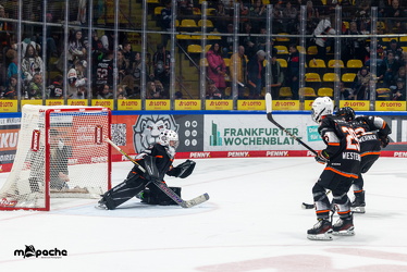 Löwen Frankfurt - ERC Ingolstadt - 2.11.25 - 041
