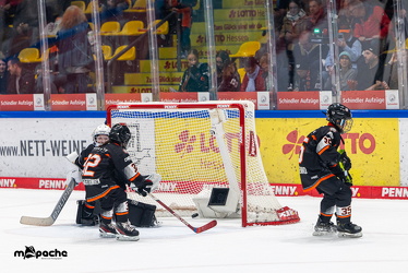 Löwen Frankfurt - ERC Ingolstadt - 2.11.25 - 044