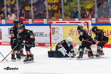 Löwen Frankfurt - ERC Ingolstadt - 2.11.25 - 045