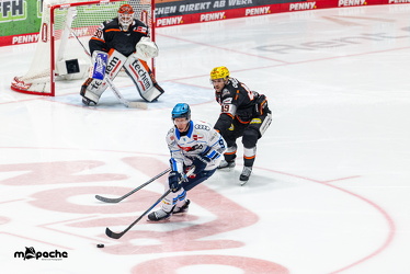 Löwen Frankfurt - ERC Ingolstadt - 2.11.25 - 050