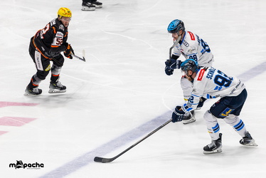 Löwen Frankfurt - ERC Ingolstadt - 2.11.25 - 054