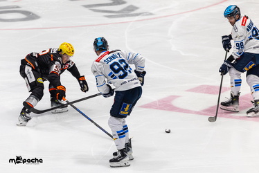 Löwen Frankfurt - ERC Ingolstadt - 2.11.25 - 055