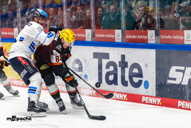 Löwen Frankfurt - ERC Ingolstadt - 2.11.25 - 062