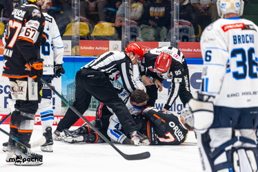 Löwen Frankfurt - ERC Ingolstadt - 2.11.25 - 063