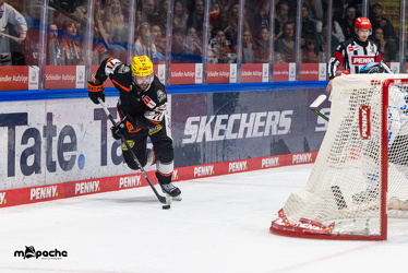 Löwen Frankfurt - ERC Ingolstadt - 2.11.25 - 065