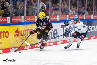 Löwen Frankfurt - ERC Ingolstadt - 2.11.25 - 066