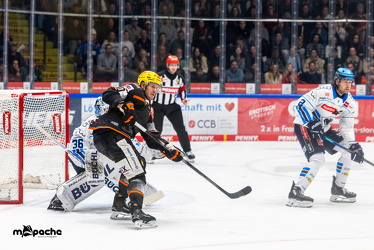 Löwen Frankfurt - ERC Ingolstadt - 2.11.25 - 067