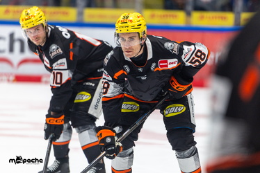 Löwen Frankfurt - ERC Ingolstadt - 2.11.25 - 069