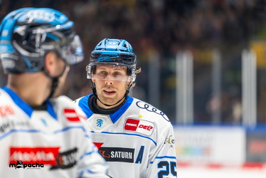 Löwen Frankfurt - ERC Ingolstadt - 2.11.25 - 070