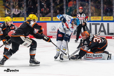 Löwen Frankfurt - ERC Ingolstadt - 2.11.25 - 073