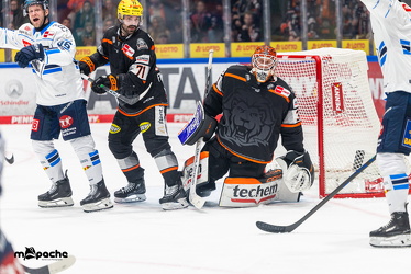 Löwen Frankfurt - ERC Ingolstadt - 2.11.25 - 076