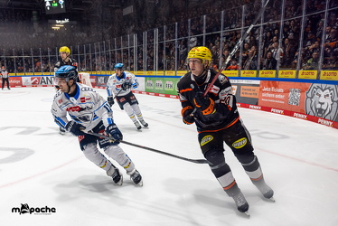 Löwen Frankfurt - ERC Ingolstadt - 2.11.25 - 077