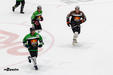 Löwen Frankfurt - ERC Ingolstadt - 2.11.25 - 081