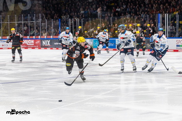 Löwen Frankfurt - ERC Ingolstadt - 2.11.25 - 084