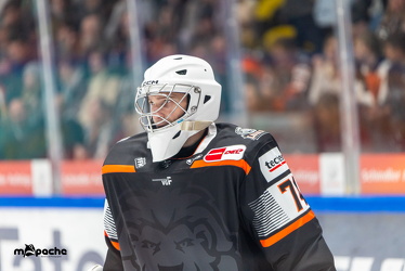 Löwen Frankfurt - ERC Ingolstadt - 2.11.25 - 087