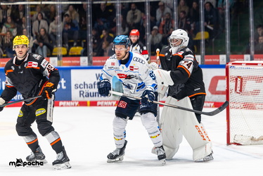 Löwen Frankfurt - ERC Ingolstadt - 2.11.25 - 088