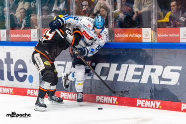 Löwen Frankfurt - ERC Ingolstadt - 2.11.25 - 089