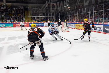 Löwen Frankfurt - ERC Ingolstadt - 2.11.25 - 092