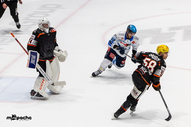 Löwen Frankfurt - ERC Ingolstadt - 2.11.25 - 101