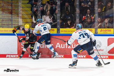 Löwen Frankfurt - ERC Ingolstadt - 2.11.25 - 102